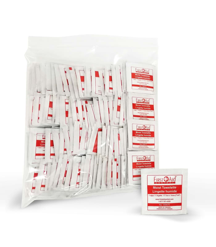 Lingettes nettoyante pour les mains (100)