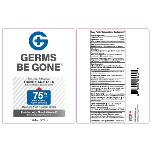 Gel désinfectant pour les mains - 70% d'alcool - 60 ml (Exp. 30 nov. 2026)