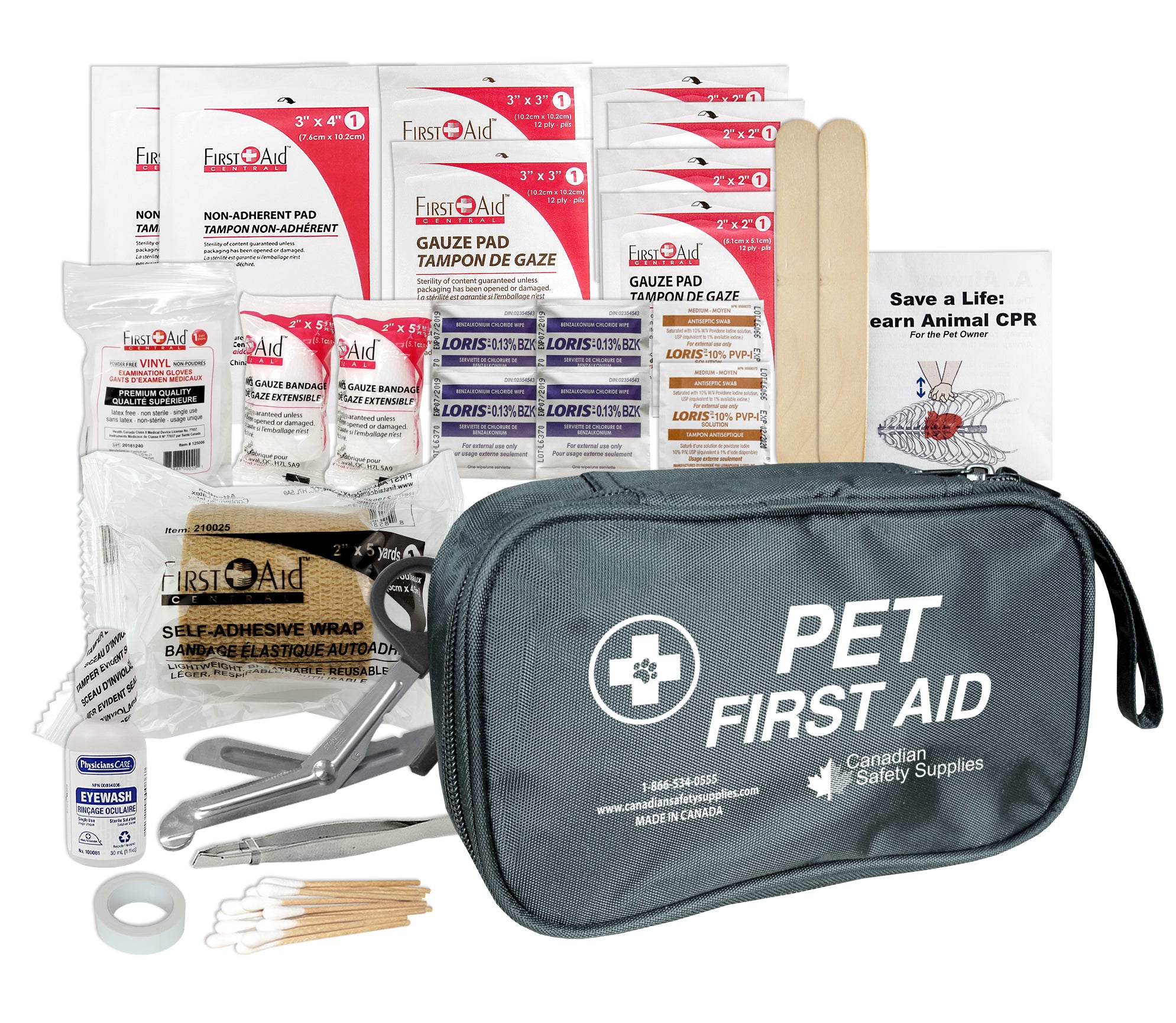 Trousse de premiers soins de base pour animaux de compagnie 