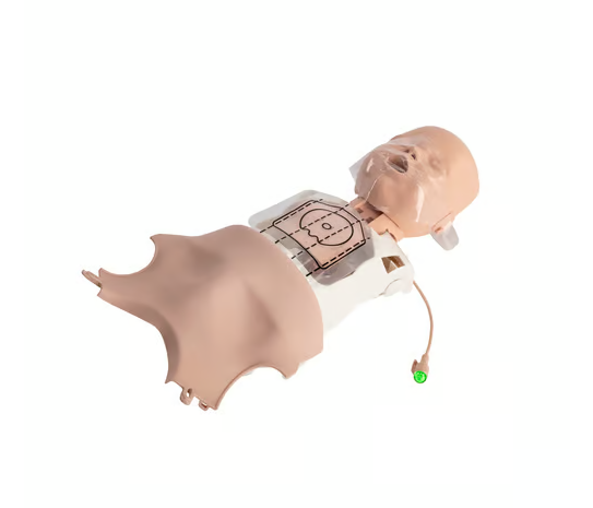 PRESTAN Ultralite® Infant Manikin